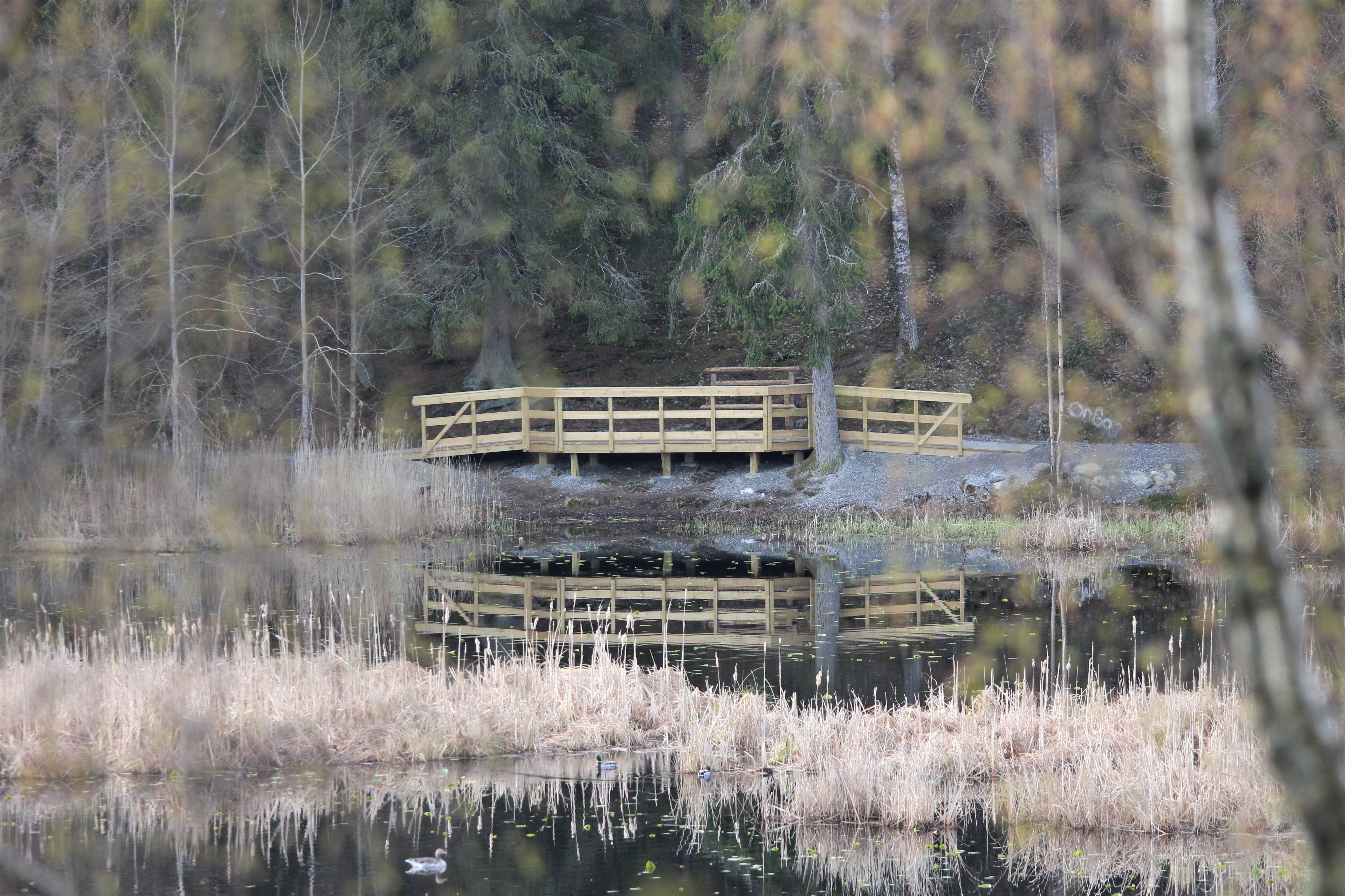 En ramp längs stigen med Logsjön i framgrunden