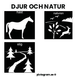 Pictogram häst, natur, och stig. 