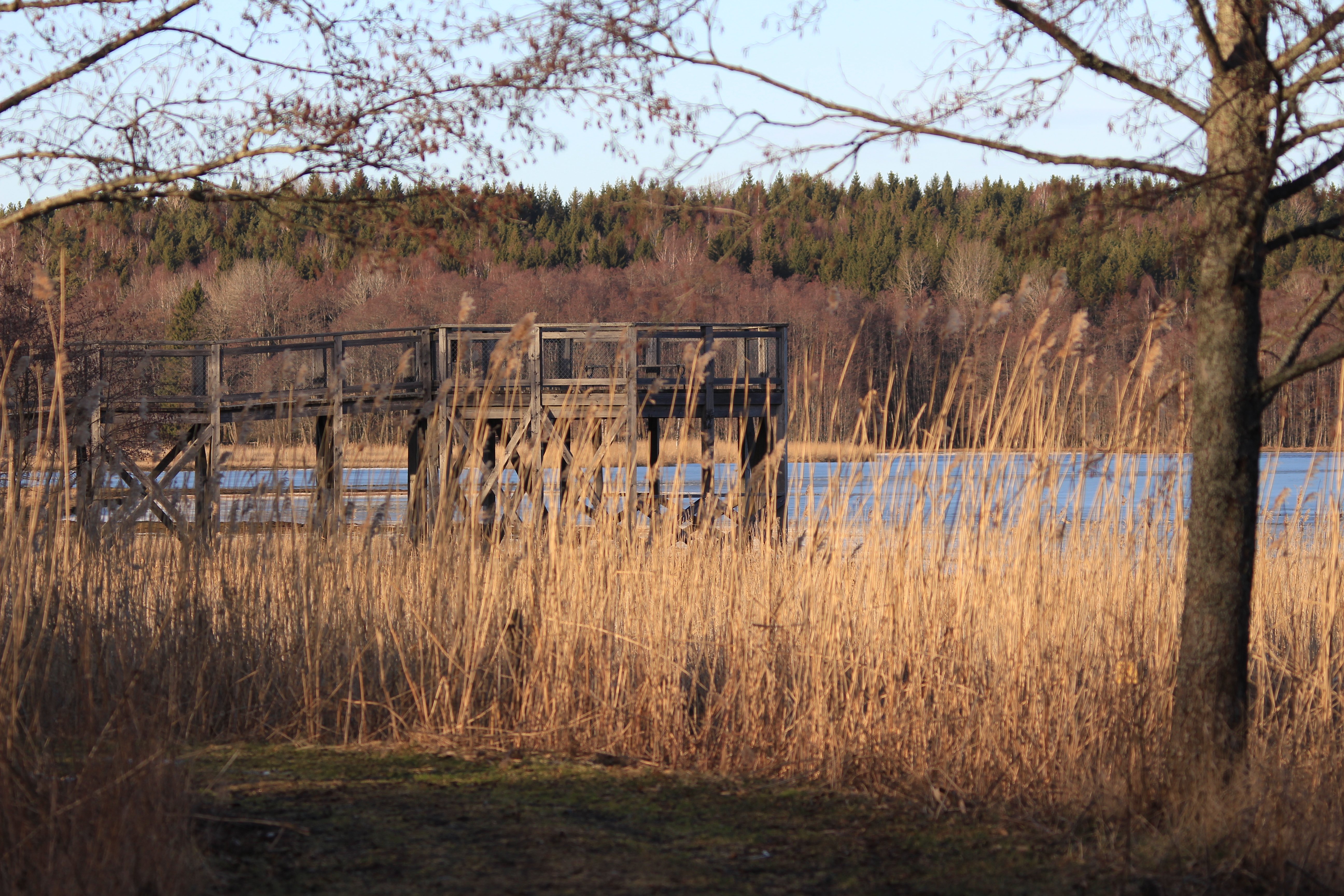 Tillgänglighetsanpassat fågeltorn i Tullgarn