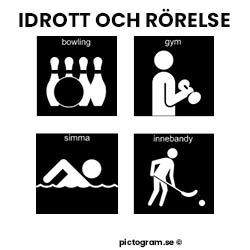 Pictogram bowling, innebandy, simma, och gym.