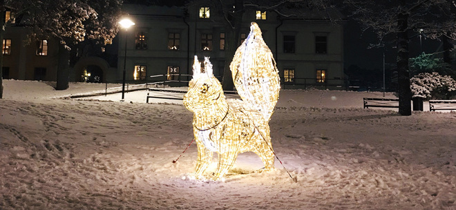 Belysning södertälje