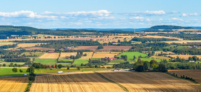 Bild över lantligt landskap med fält och växtlighet