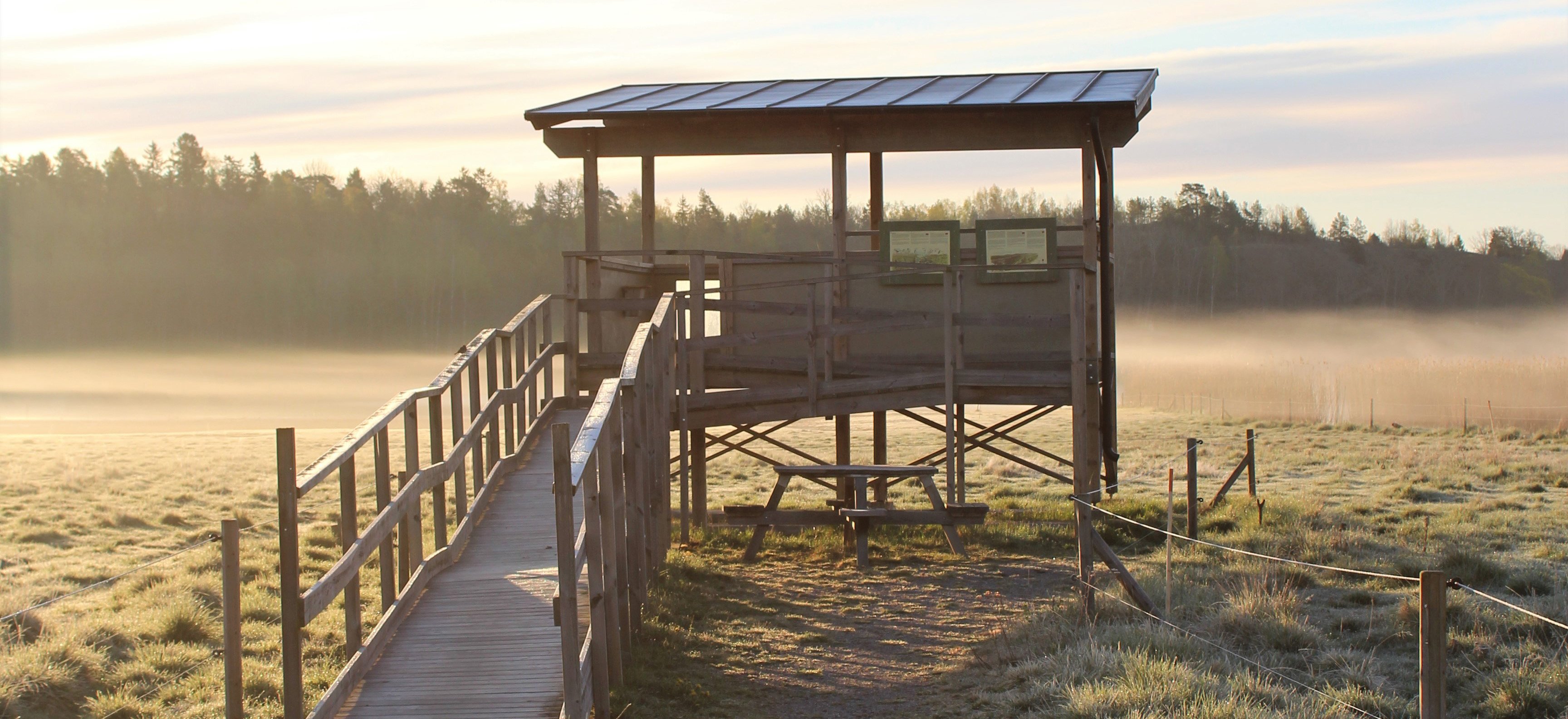 Fågeltorn med ramp