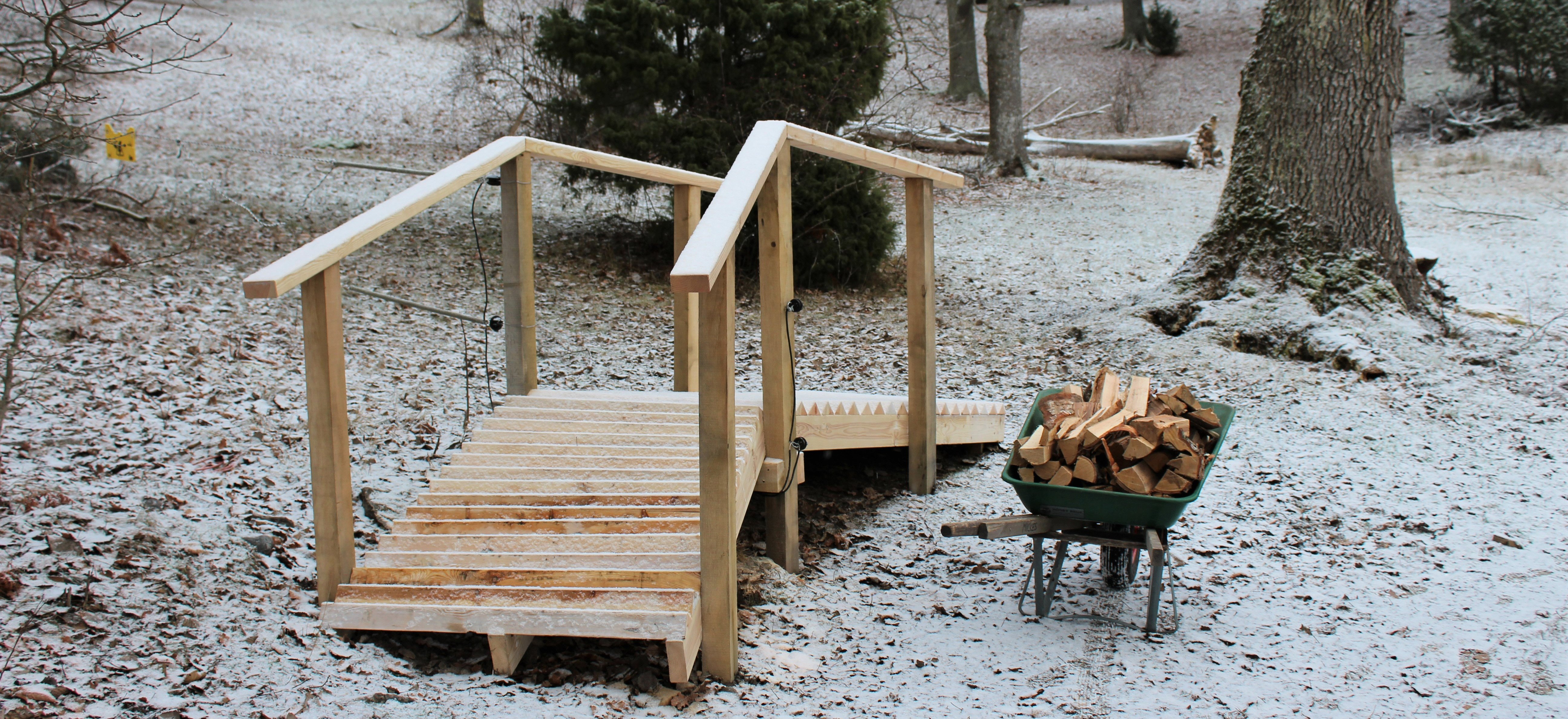 Färist i snöig hagmark