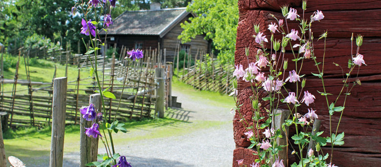 Husvägg med blommor intill