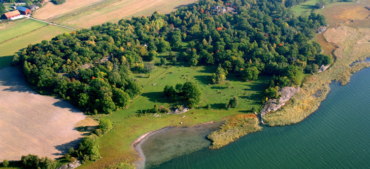 Naturbild på Kålsö naturreservat